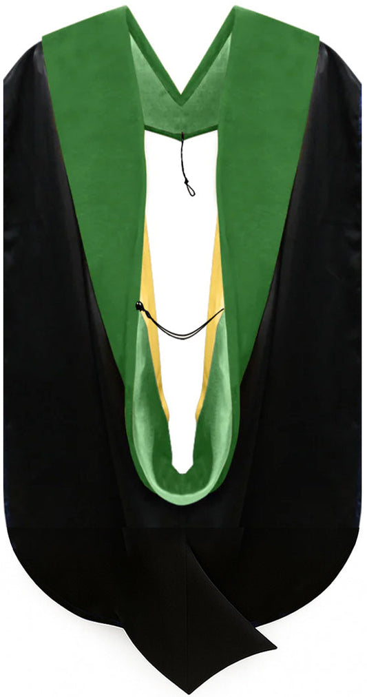 Doctor of Medicine Hood - Kelly Green & Gold