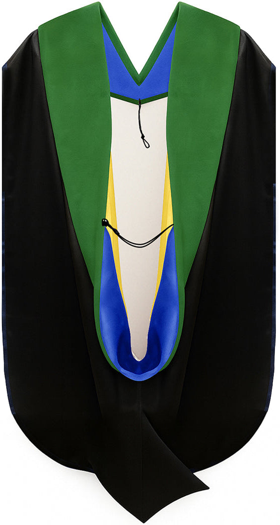 Doctor of Medicine Hood - Royal Blue & Gold