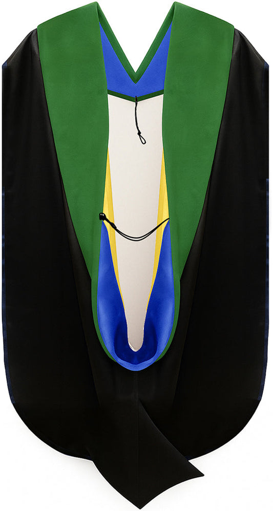 Doctor of Medicine Hood - Royal Blue & Gold