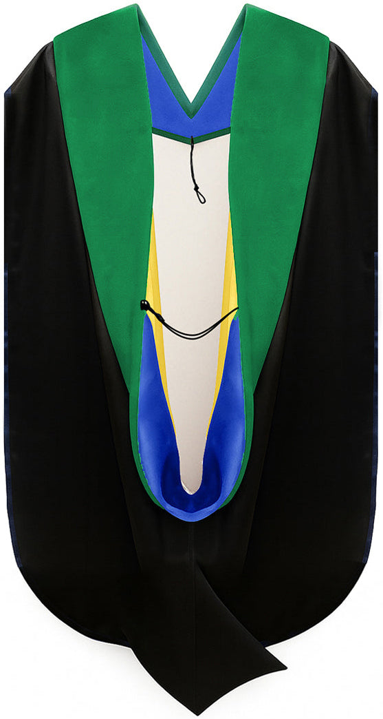 Doctor of Medicine Hood - Royal Blue & Gold
